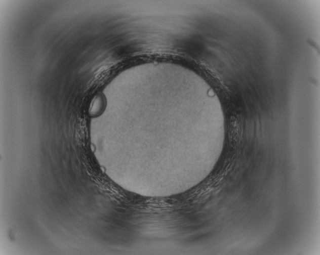X0000097990918200804141138