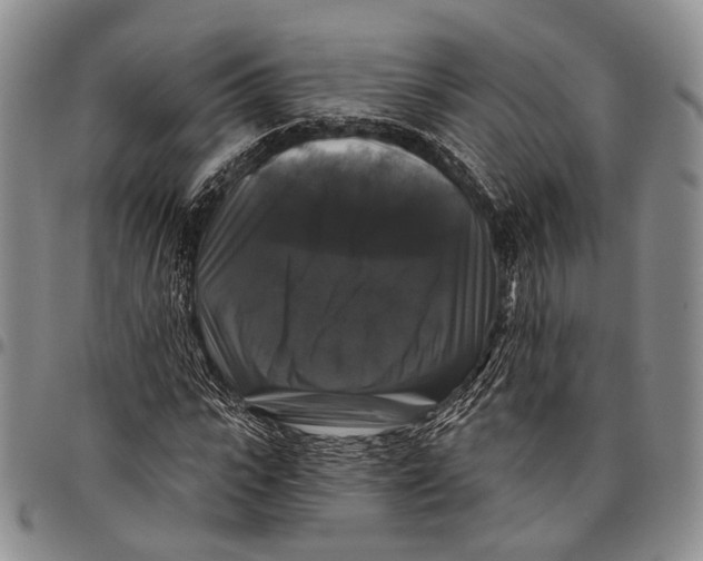 X0000097990919200804141138