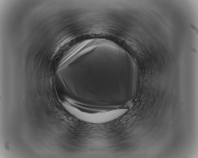 X0000097990920200804141138
