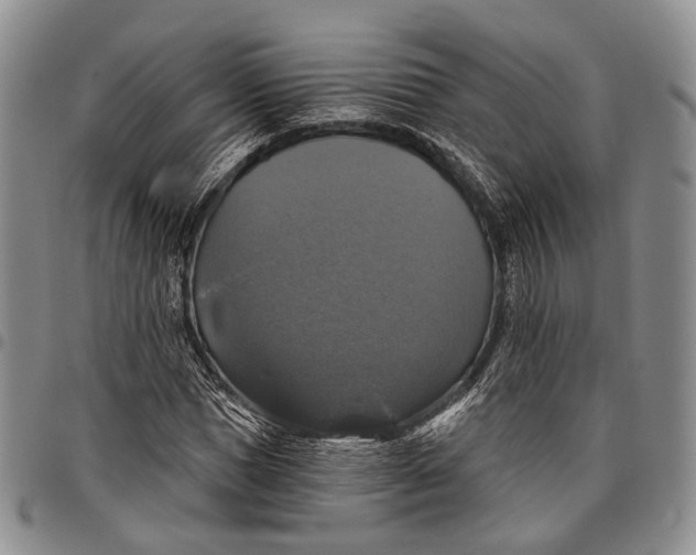 X0000097990921200804141138