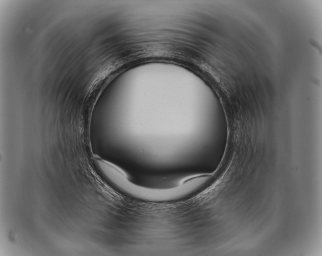 X0000097990922200804141138