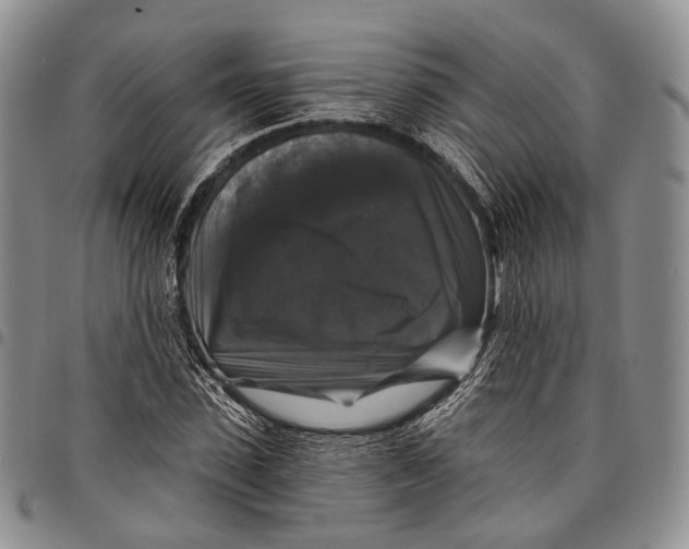 X0000097990923200804141138