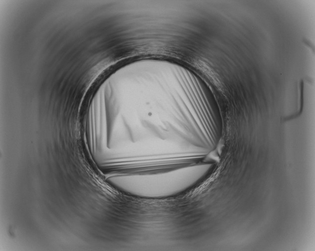 X0000097990924200804141138