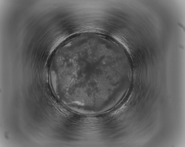 X0000097990925200804141138