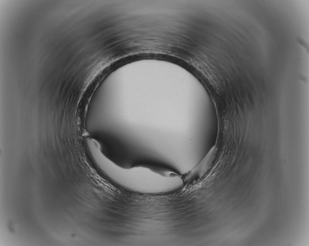 X0000097990926200804141138