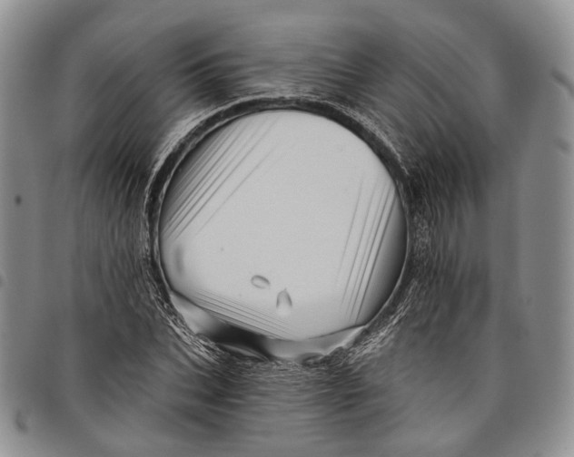 X0000097990927200804141138