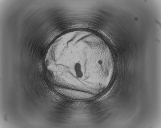 X0000097990929200804141138