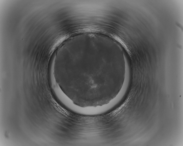 X0000097990930200804141138