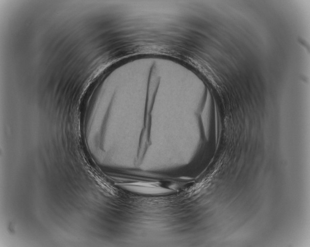 X0000097990931200804141138