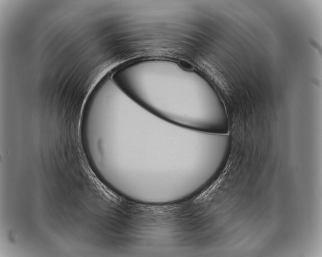 X0000097990932200804141138