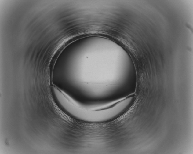 X0000097990934200804141138