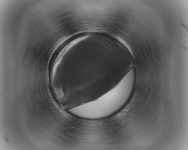 X0000097990935200804141138