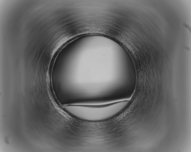 X0000097990936200804141138