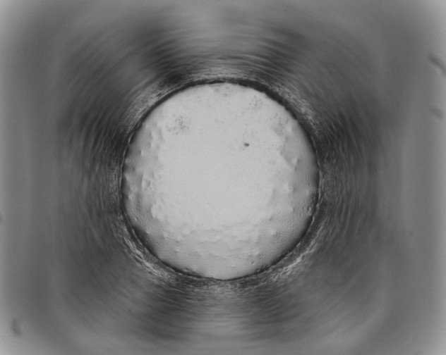 X0000097990937200804141138