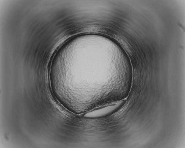 X0000097990939200804141138