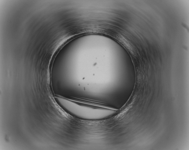 X0000097990940200804141138