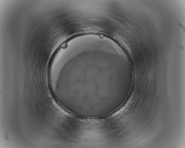 X0000097990941200804141138
