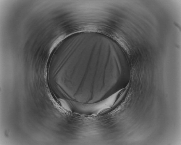 X0000097990944200804141138
