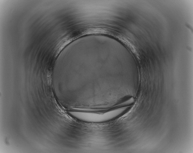 X0000097990945200804141138