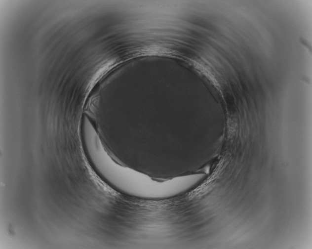 X0000097990946200804141138