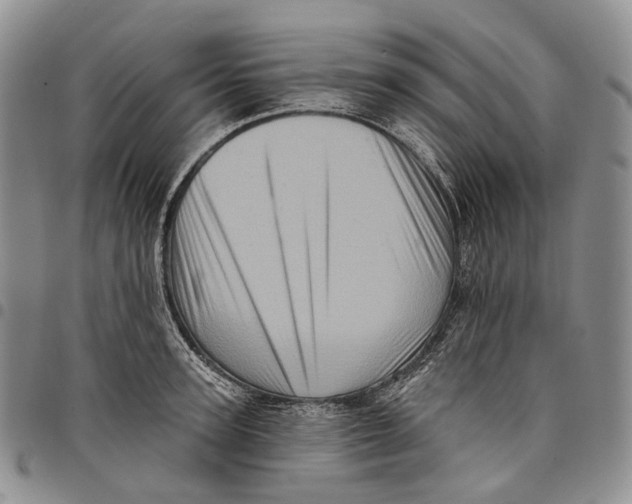 X0000097990947200804141138
