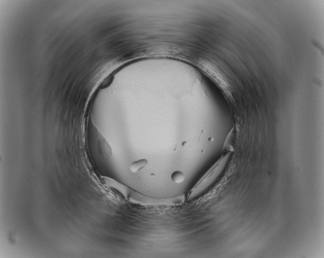 X0000097990948200804141138