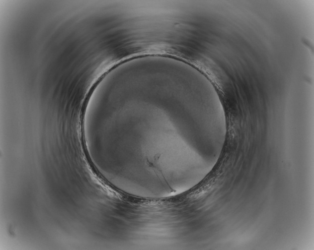 X0000097990950200804141138