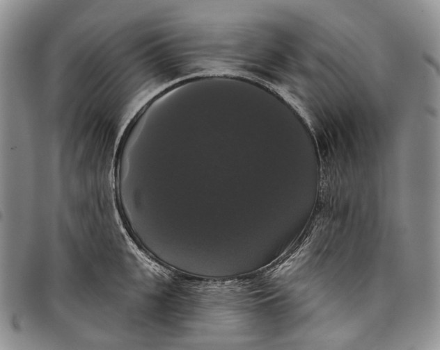 X0000097990951200804141138