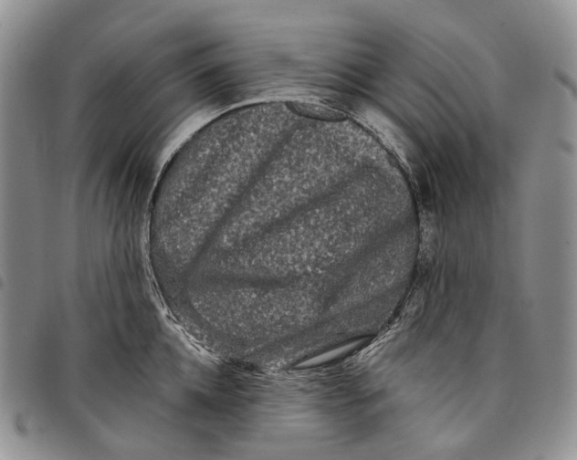 X0000097990952200804141138