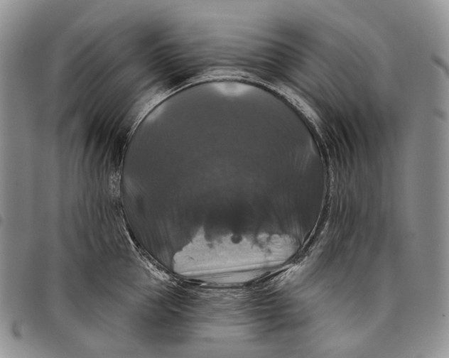 X0000097990953200804141138