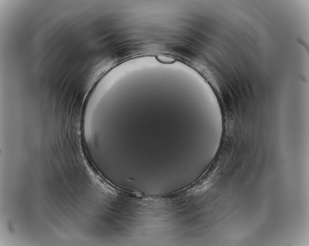 X0000097990954200804141138