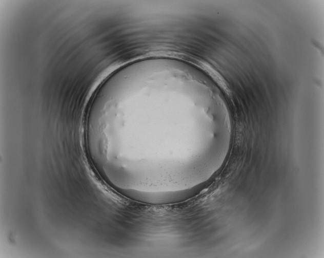 X0000097990955200804141138