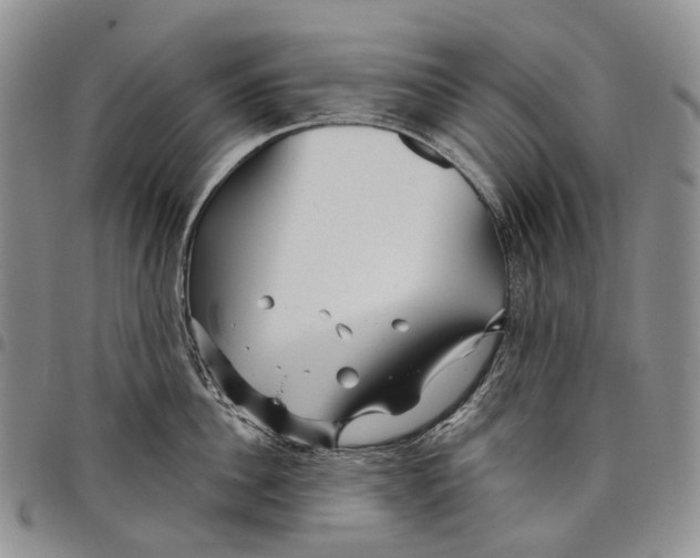 X0000097990956200804141138