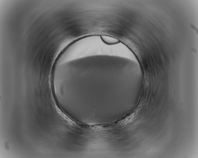 X0000097990958200804141138