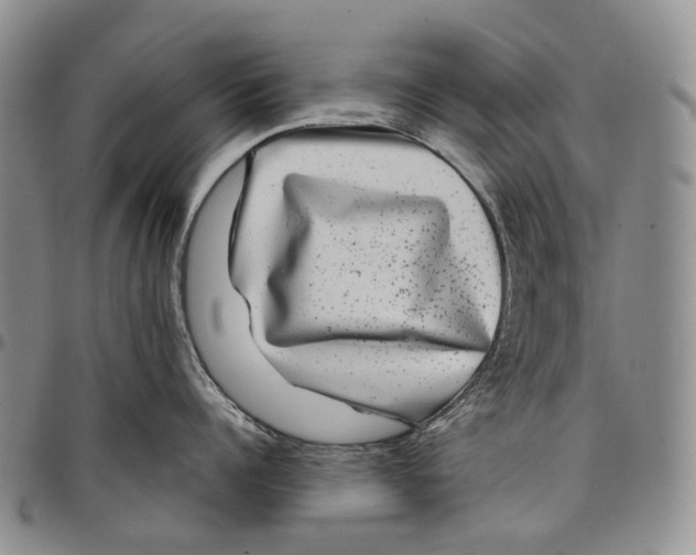 X0000097990960200804141138