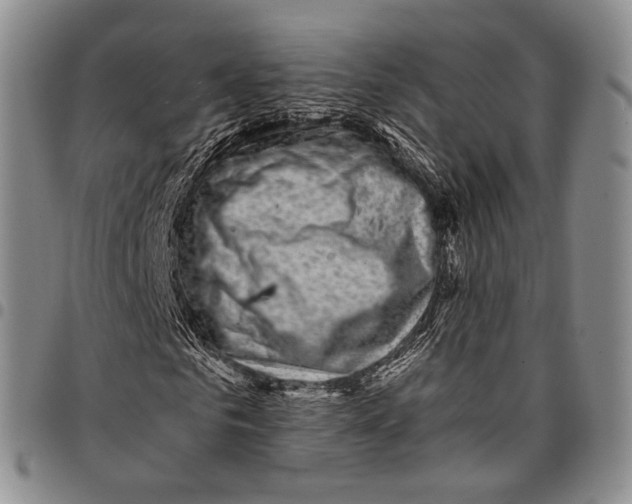 X0000097990961200804141138