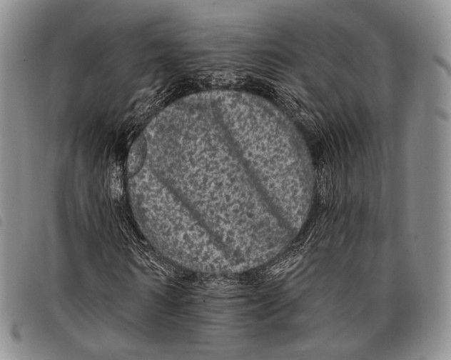 X0000097990962200804141138