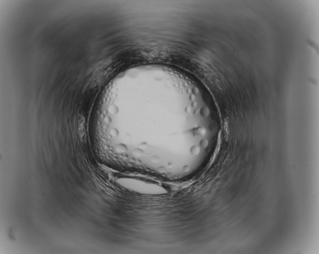 X0000097990963200804141138