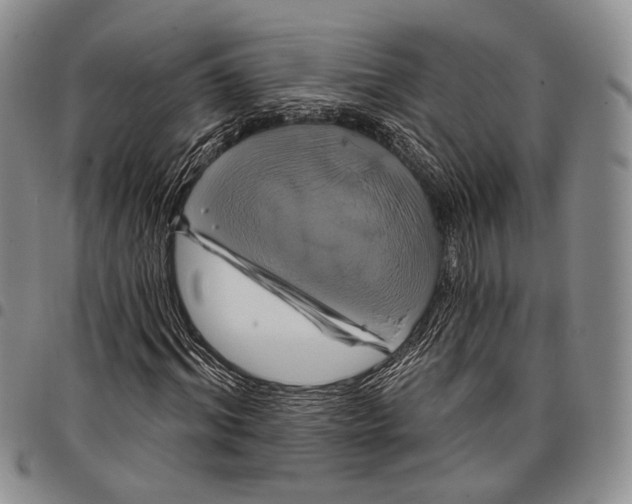 X0000097990964200804141138