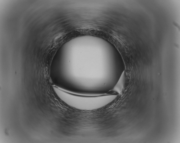 X0000097990965200804141138