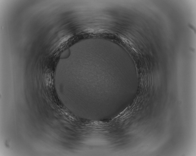 X0000097990966200804141138