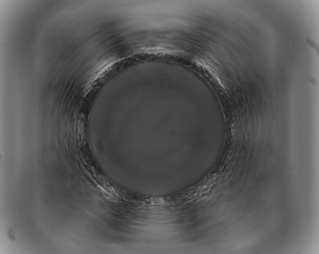 X0000097990968200804141138