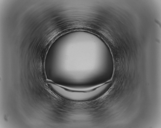 X0000097990969200804141138