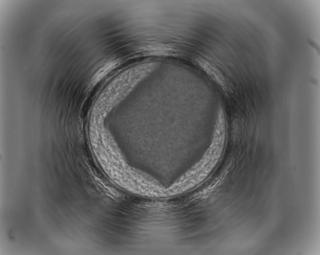 X0000097990970200804141138
