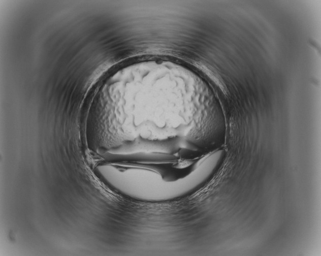 X0000097990972200804141137
