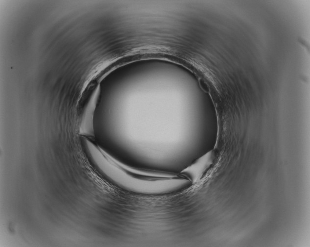 X0000097990973200804141137