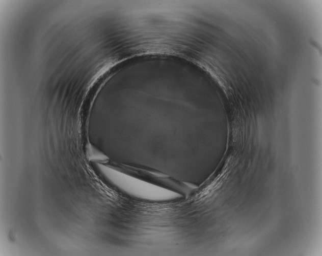 X0000097990975200804141137