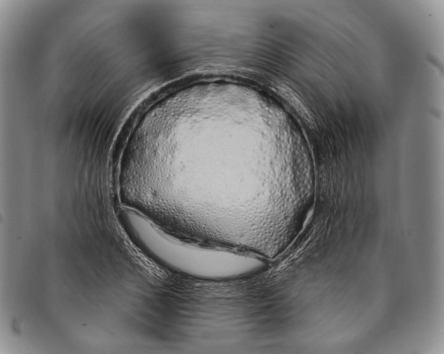 X0000097990976200804141137