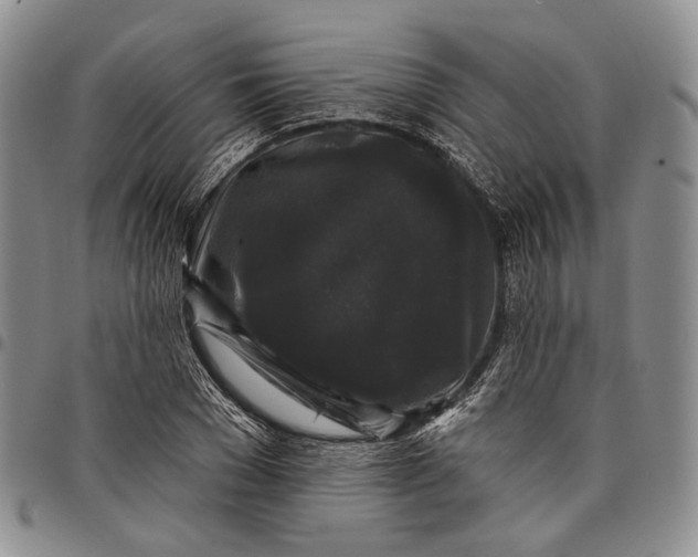 X0000097990977200804141137