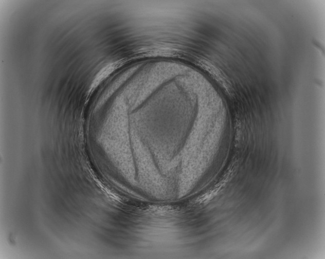 X0000097990978200804141137